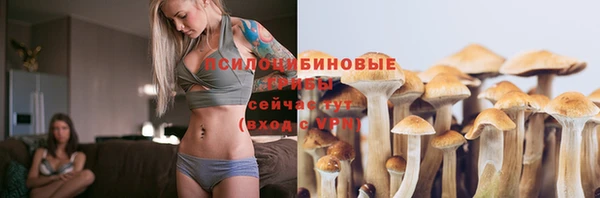 сатива Лабытнанги