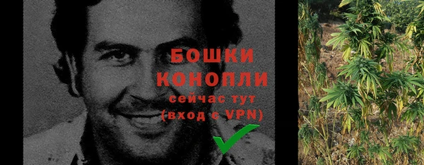 сатива Лабытнанги