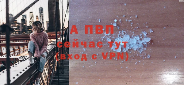 сатива Лабытнанги