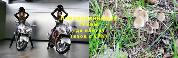 сатива Лабытнанги