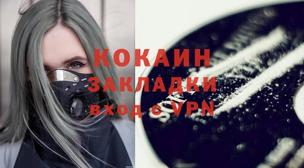 сатива Лабытнанги