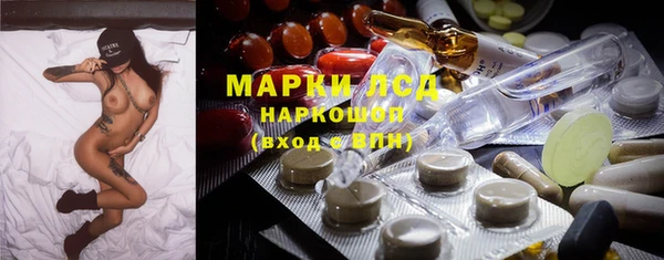 сатива Лабытнанги