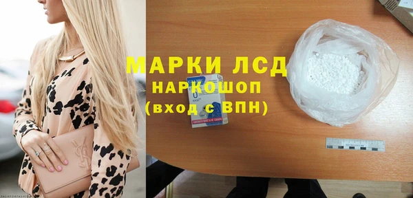 сатива Лабытнанги